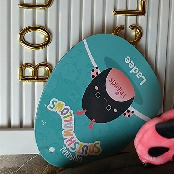 Ladee Ladybug "Friends" Original Squishmallows 10 x 9 inches 5.2.2022 Squishdate - Picture 2 of 5